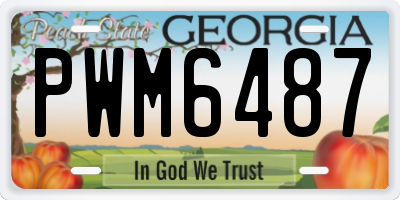 GA license plate PWM6487