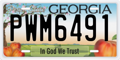 GA license plate PWM6491