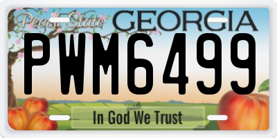 GA license plate PWM6499