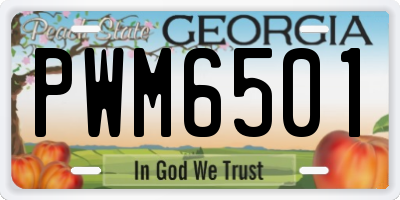 GA license plate PWM6501