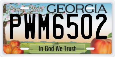 GA license plate PWM6502