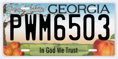 GA license plate PWM6503