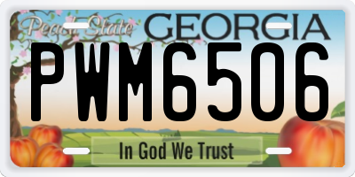 GA license plate PWM6506