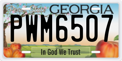 GA license plate PWM6507