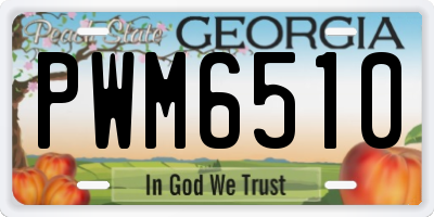 GA license plate PWM6510