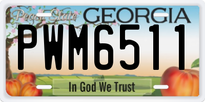 GA license plate PWM6511