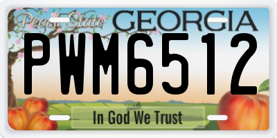 GA license plate PWM6512