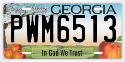 GA license plate PWM6513