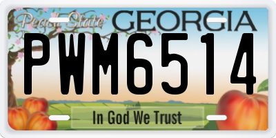 GA license plate PWM6514