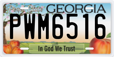 GA license plate PWM6516