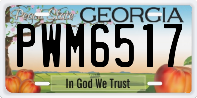 GA license plate PWM6517
