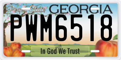 GA license plate PWM6518
