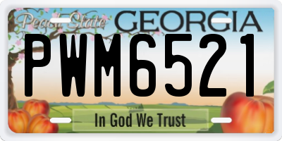 GA license plate PWM6521