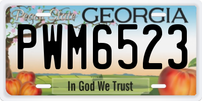 GA license plate PWM6523