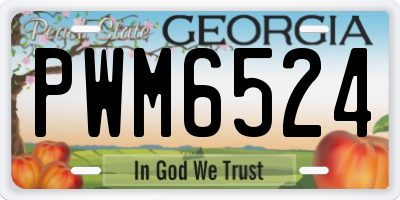 GA license plate PWM6524