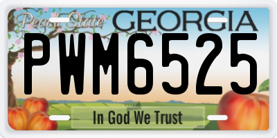 GA license plate PWM6525