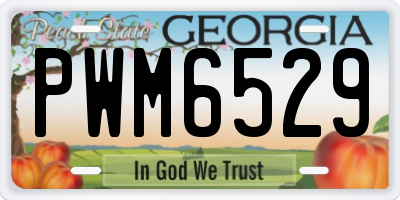 GA license plate PWM6529