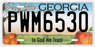 GA license plate PWM6530