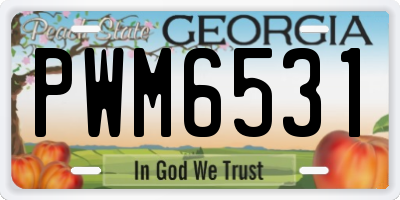 GA license plate PWM6531