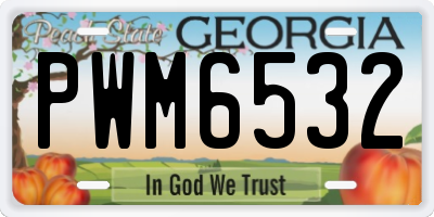 GA license plate PWM6532