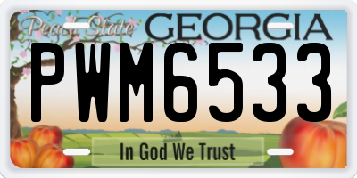 GA license plate PWM6533