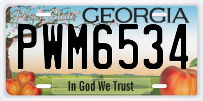 GA license plate PWM6534
