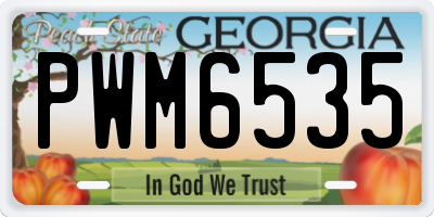 GA license plate PWM6535