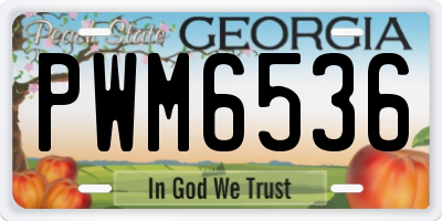 GA license plate PWM6536