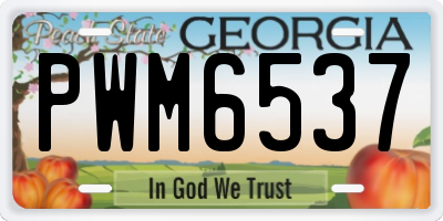 GA license plate PWM6537