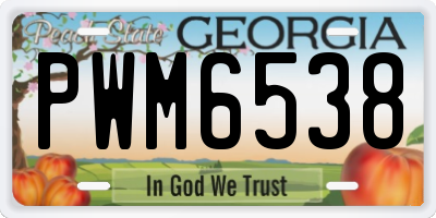 GA license plate PWM6538