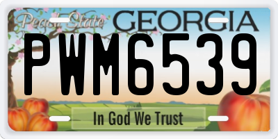 GA license plate PWM6539