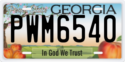 GA license plate PWM6540