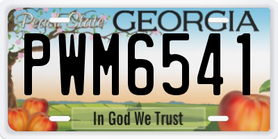 GA license plate PWM6541