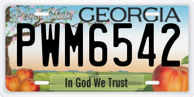 GA license plate PWM6542