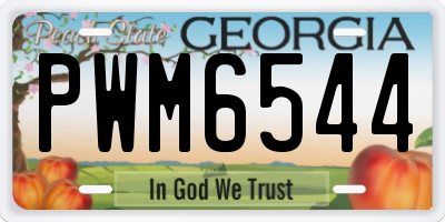 GA license plate PWM6544