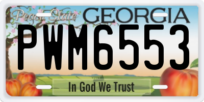 GA license plate PWM6553