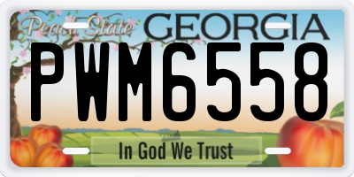 GA license plate PWM6558