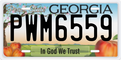 GA license plate PWM6559