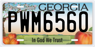 GA license plate PWM6560