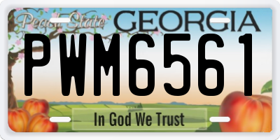GA license plate PWM6561