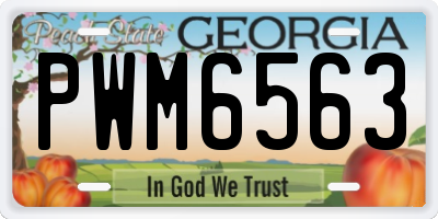 GA license plate PWM6563