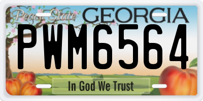 GA license plate PWM6564