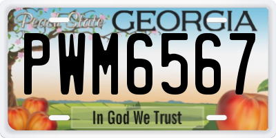 GA license plate PWM6567