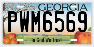 GA license plate PWM6569