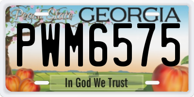 GA license plate PWM6575