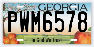 GA license plate PWM6578