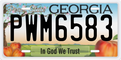 GA license plate PWM6583