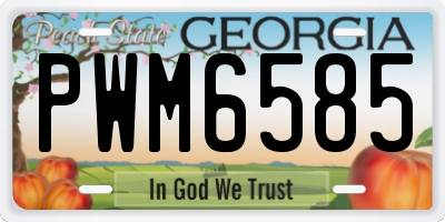GA license plate PWM6585