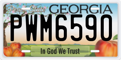 GA license plate PWM6590