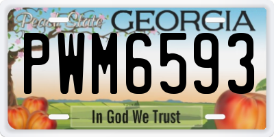 GA license plate PWM6593